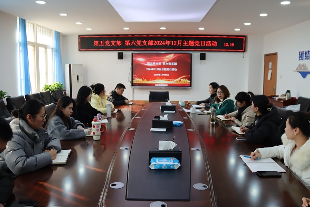 图为党日活动现场.jpg